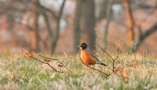 Park «Mount Storm Park», reviews and photos, 700 Lafayette Ave, Cincinnati, OH 45223, USA