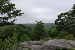 Natural Lands' Bear Creek Preserve image