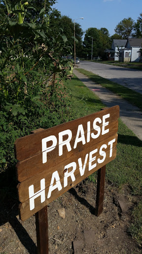 Praise Harvest
