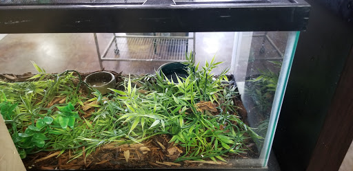 Pet Store «Wildside Pets», reviews and photos, 1042 N Higley Rd #105, Mesa, AZ 85205, USA