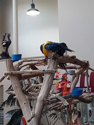 Pet Store «Pet Paradise Grooming», reviews and photos, 1115 Pueblo Blvd Way, Pueblo, CO 81005, USA