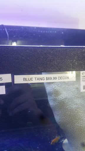 Pet Store «Alamo Aquatic Pets», reviews and photos, 6504 Bandera Rd, San Antonio, TX 78238, USA