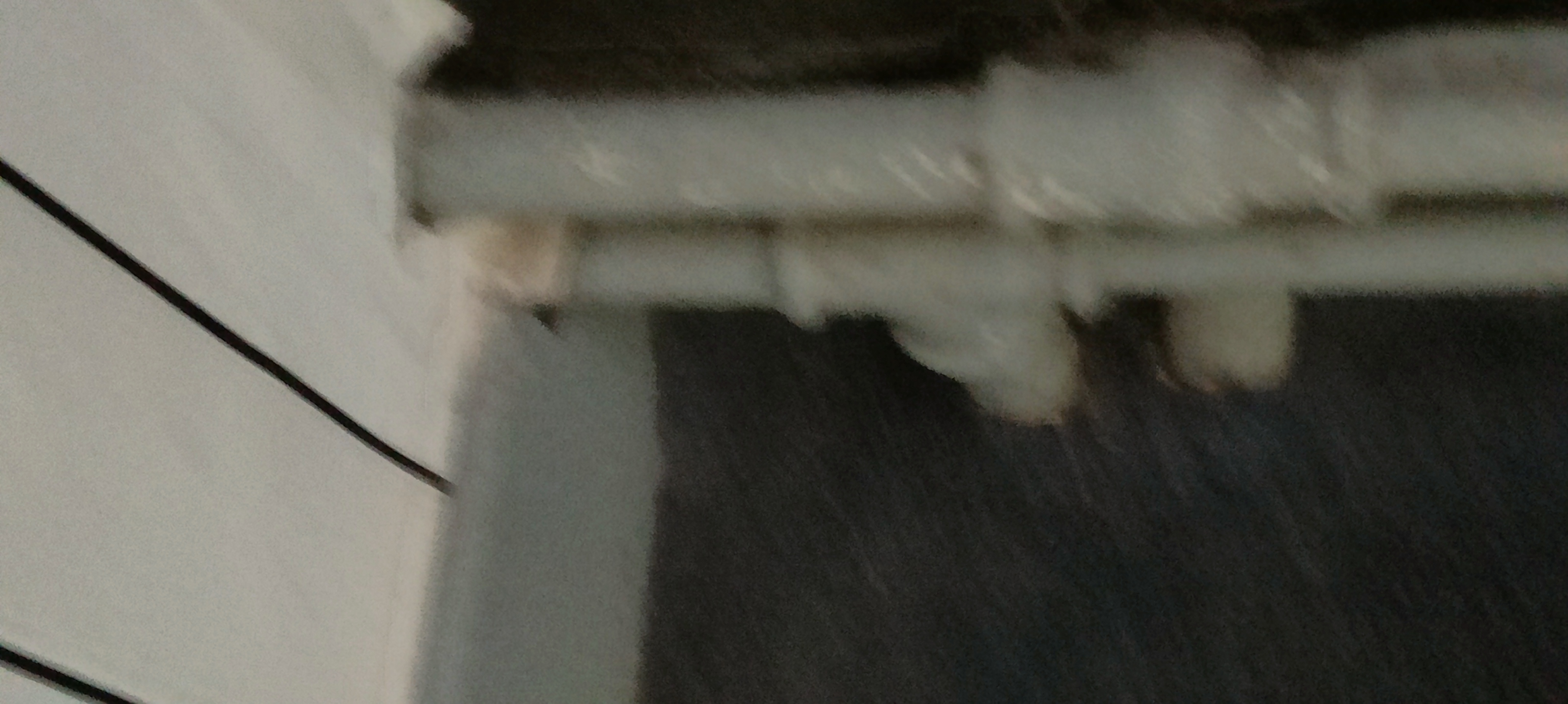 Photo n° 8 de l'avis de pat.p fait le 18/09/2023 à 18:41