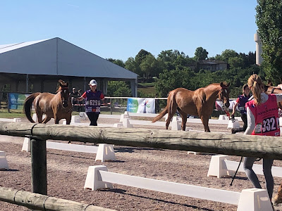 Endurance Equestre Castelsagrat à Castelsagrat