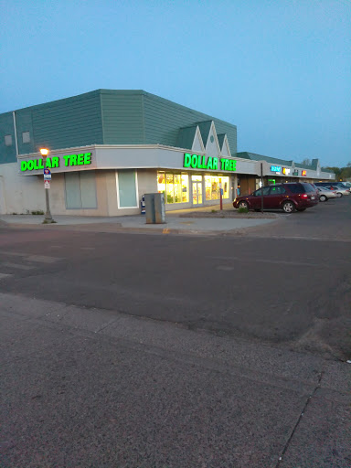 Dollar Store «Dollar Tree», reviews and photos, 1620 White Bear Ave, St Paul, MN 55106, USA