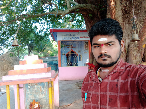 Grocery Store «ACME Markets», reviews and photos, 600 Columbus Ave, Thornwood, NY 10594, USA