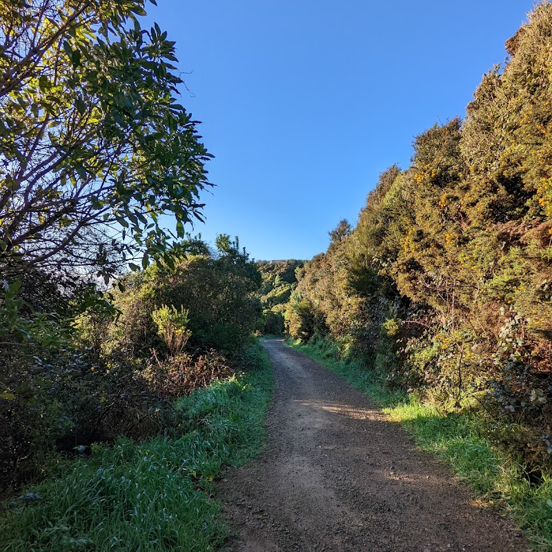 Waimapihi Reserve