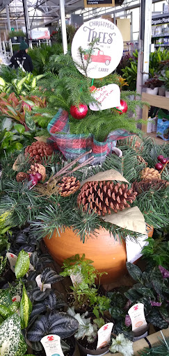 Home Improvement Store «The Home Depot», reviews and photos, 7001 Crestwood Blvd #1300, Birmingham, AL 35210, USA