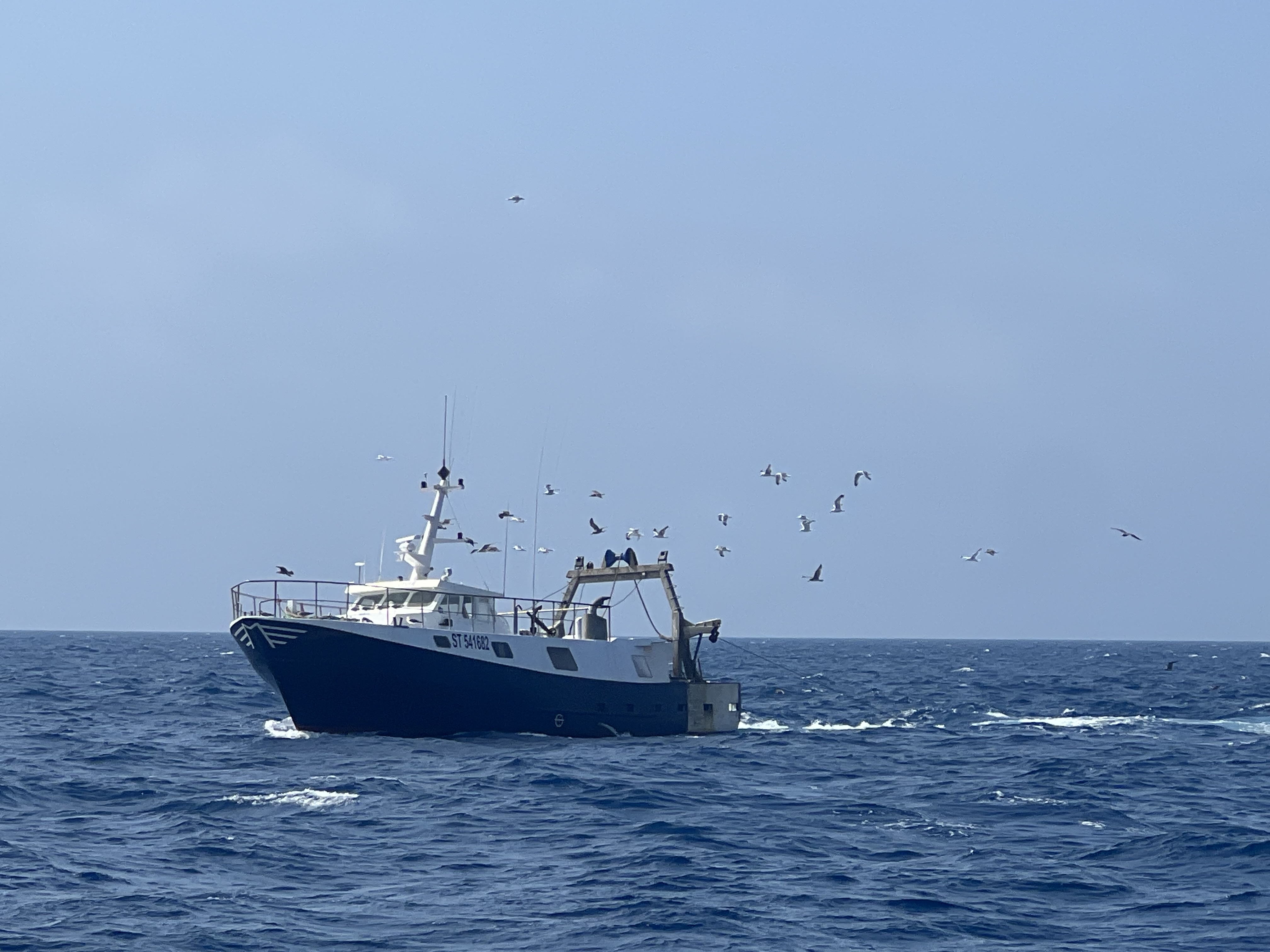 Photo n° 1 de l'avis de Florenty.e fait le 18/07/2023 à 12:30