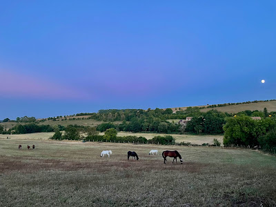 Ecurie du Moulin à Buhy