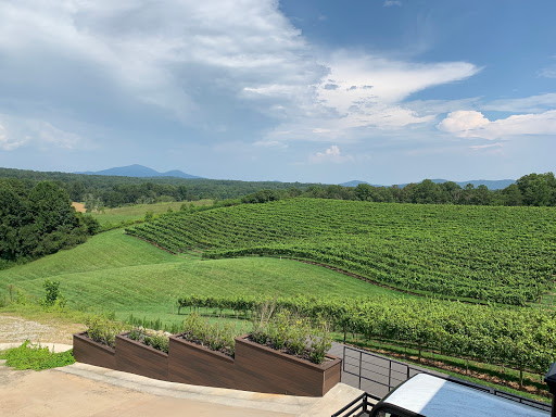 Vineyard «Kaya Vineyard & Winery», reviews and photos, 5400 Town Creek Rd, Dahlonega, GA 30533, USA