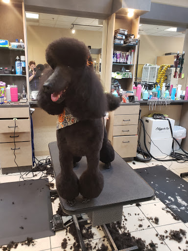 Pet Supply Store «Pet Pros Puyallup», reviews and photos, 5614 176th St E, Puyallup, WA 98375, USA