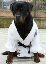ROTTWEILER K9 Education Koncepts . Competitive Obedience and training Canine's since 1983