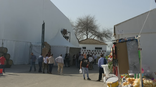 Feria Del Vino De Tinaja