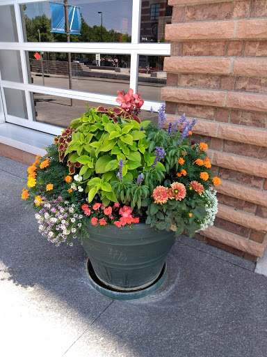 Park «Confluence Park», reviews and photos, 2250 15th St, Denver, CO 80202, USA