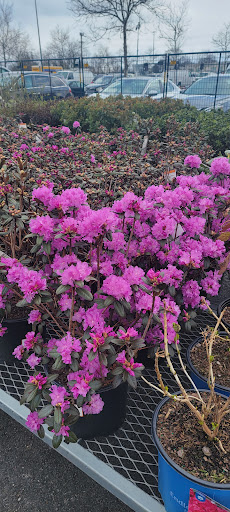 Home Improvement Store «The Home Depot», reviews and photos, 3301 E West Highway, Hyattsville, MD 20782, USA