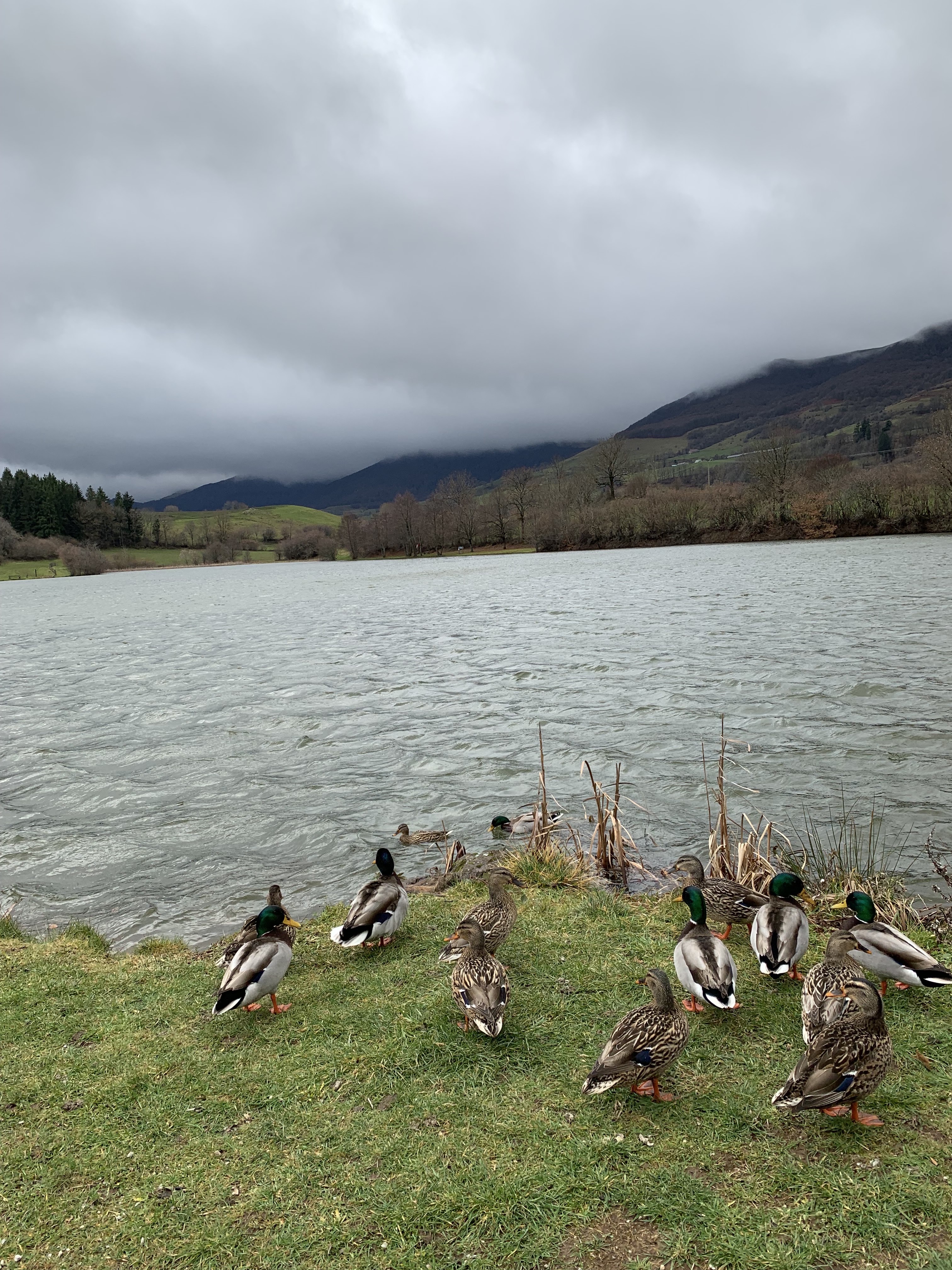 Photo n° 1 de l'avis de Auvergnates.n fait le 21/02/2023 à 12:38