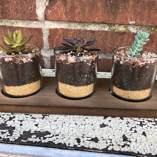 Florist «Orchids & Ivy Flowers & Gifts Columbus, OH», reviews and photos, 2814 Fishinger Rd, Upper Arlington, OH 43221, USA