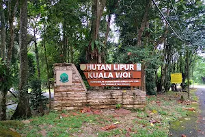 Kuala Woh Recreational Forest image
