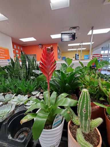 Department Store «Walmart Supercenter», reviews and photos, 2680 N Illinois 83, Round Lake Beach, IL 60073, USA