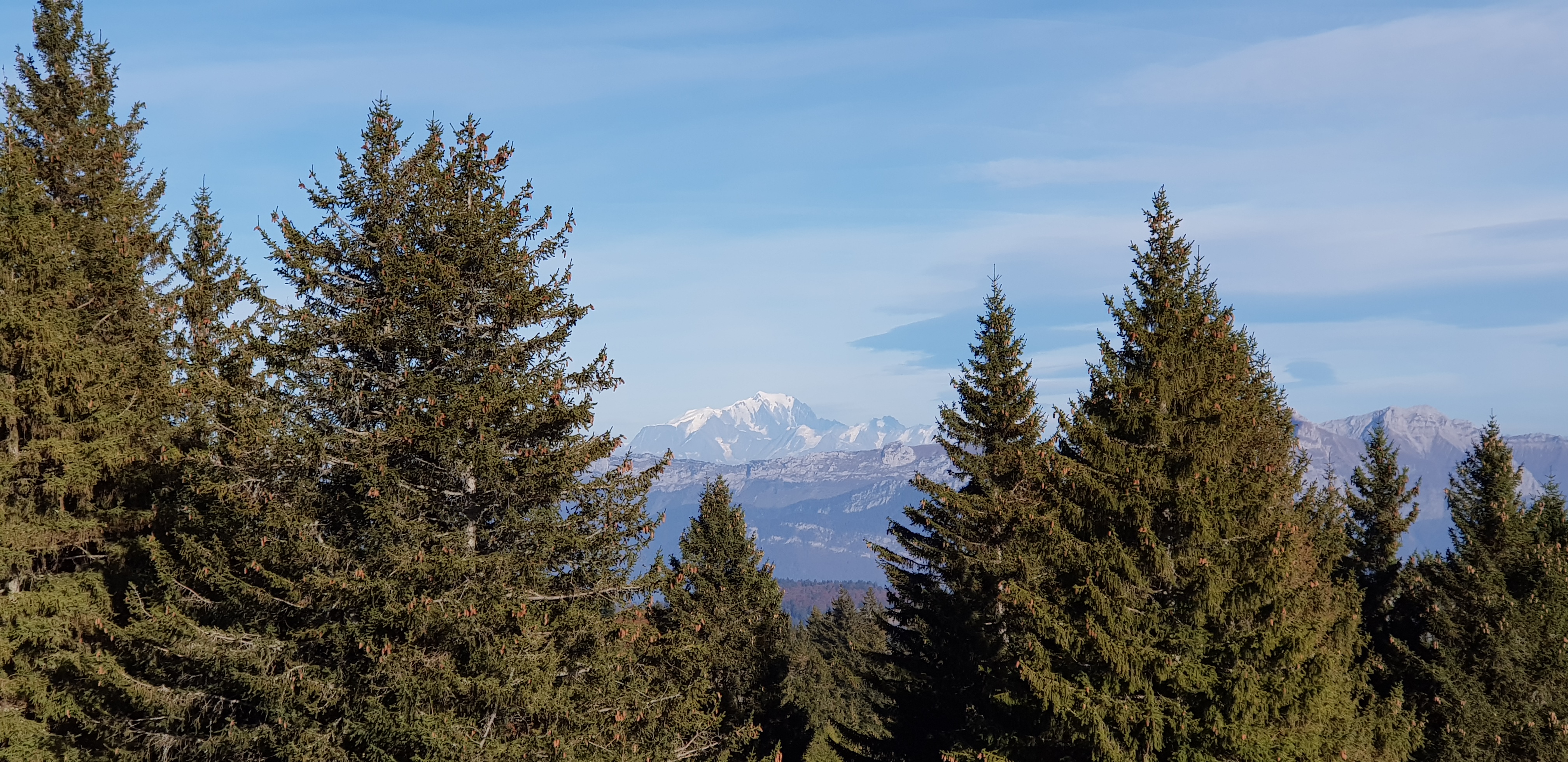 Photo n° 1 de l'avis de Monique.n fait le 24/10/2018 à 09:06