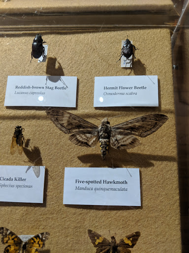 Natural History Museum «Museum of Natural History and Planetarium», reviews and photos, 1000 Elmwood Ave, Providence, RI 02907, USA