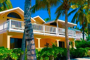 About Roatan Real Estate image