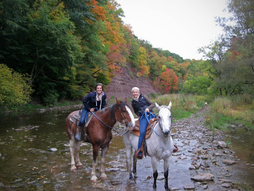 Horse riding in Toronto