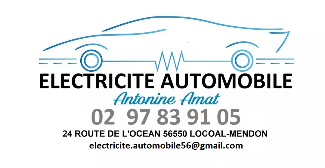 ELECTRICITE AUTOMOBILE à Locoal-Mendon (Morbihan 56)