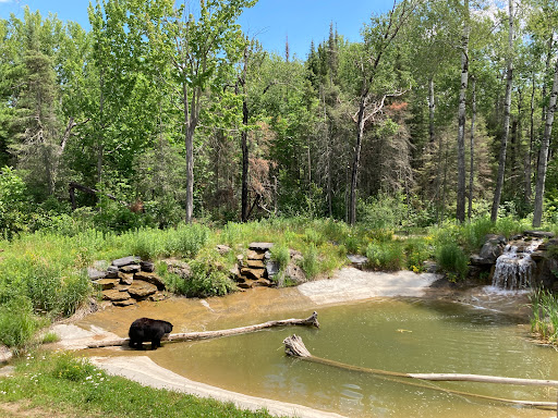 North American Bear Center