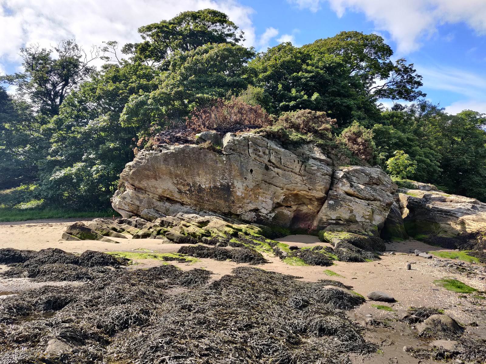 Eagle Rock Beach'in fotoğrafı - rahatlamayı sevenler arasında popüler bir yer