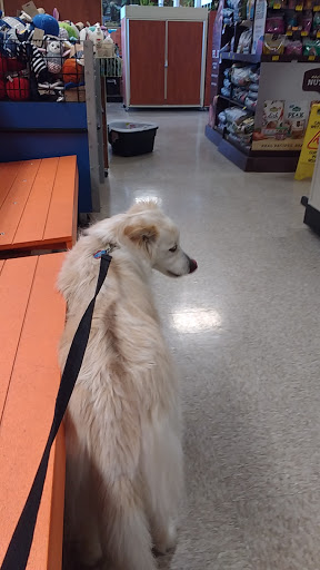 Pet Supply Store «PetSmart», reviews and photos, 2028 Miamisburg Centerville Rd, Dayton, OH 45459, USA