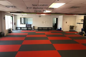 Back Mountain Grappling Academy (BFC MMA) image