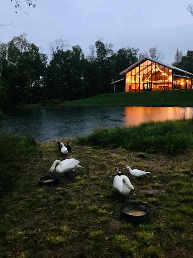 Farm «Burdoc Farms Weddings & Events», reviews and photos, 1655 Pleasant Grove Rd, Crofton, KY 42217, USA