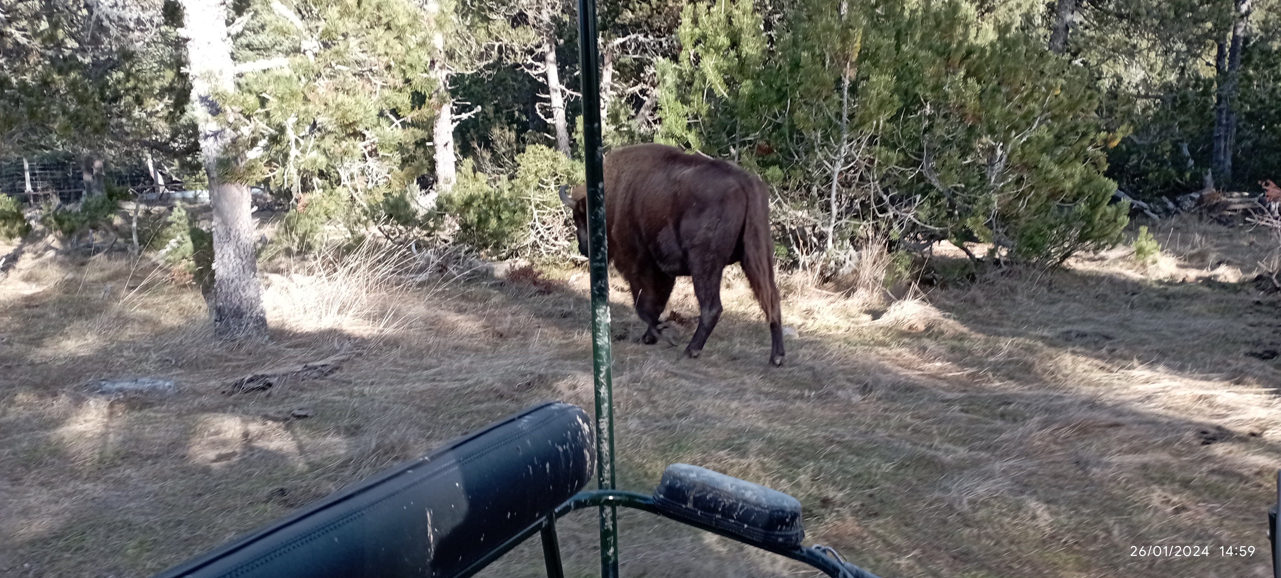 Photo n° 5 de l'avis de Sébastien.� fait le 01/02/2024 à 21:56