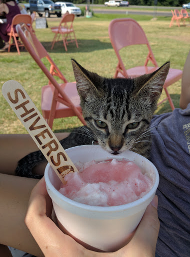 Ice Cream Shop «Shivers Natural Snow», reviews and photos, 5651 US-259, Longview, TX 75605, USA