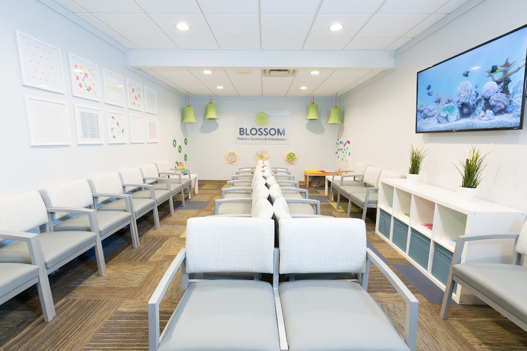 Blossom Pediatric Dentistry and Orthodontics