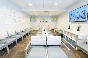 Blossom Pediatric Dentistry and Orthodontics image