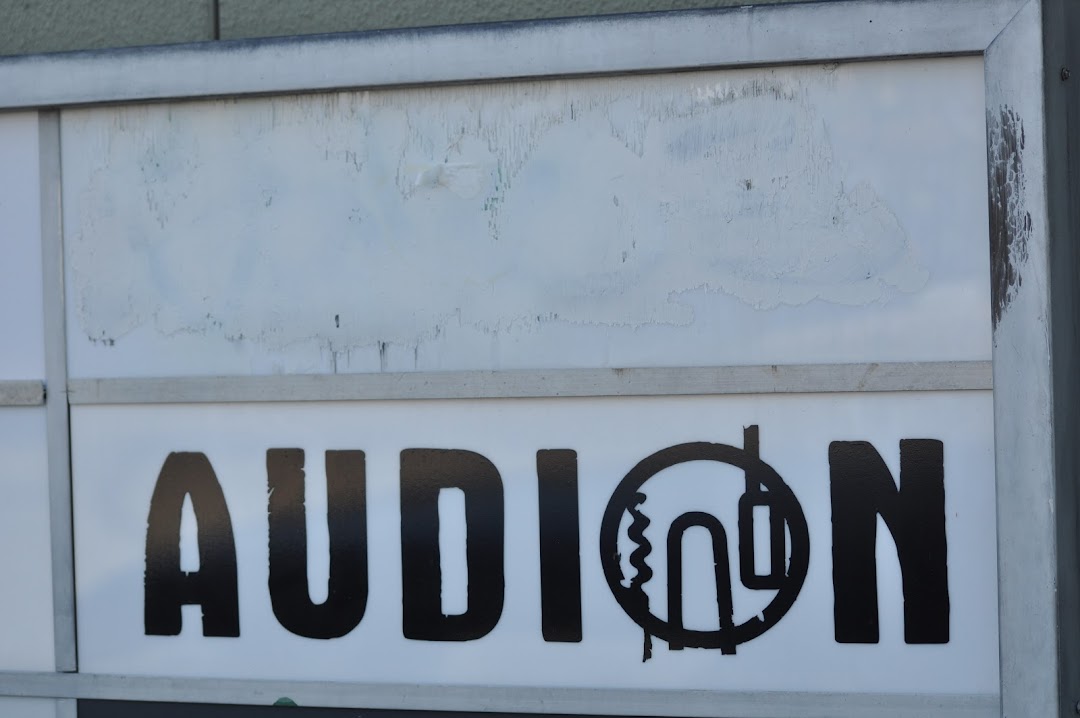 Audion LLC