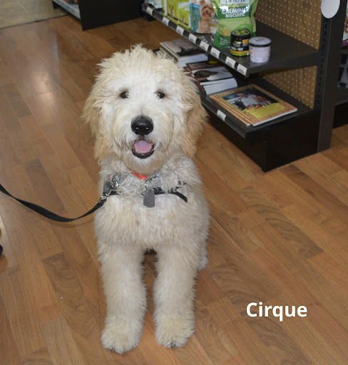 Pet Supply Store «The Natural Pet Enrichment Center», reviews and photos, 6720 Royalton Rd, North Royalton, OH 44133, USA