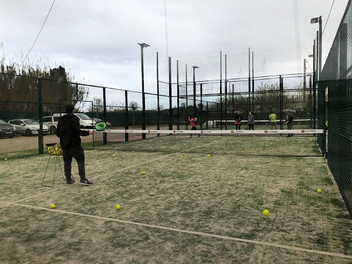 Tenis