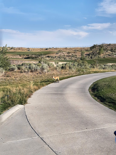 Golf Course «The Ridge Golf Course», reviews and photos, 5055 Westridge Blvd, West Valley City, UT 84118, USA
