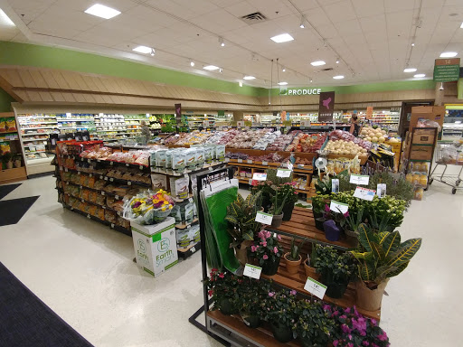 Supermarket «Publix Super Market at Plantation Square», reviews and photos, 5375 N Socrum Loop Rd, Lakeland, FL 33809, USA