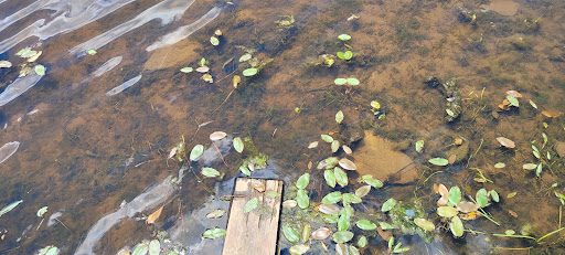 Auto Parts Store «Eastern Ohio Truck Parts», reviews and photos, 10640 Lancaster Rd, Hebron, OH 43025, USA