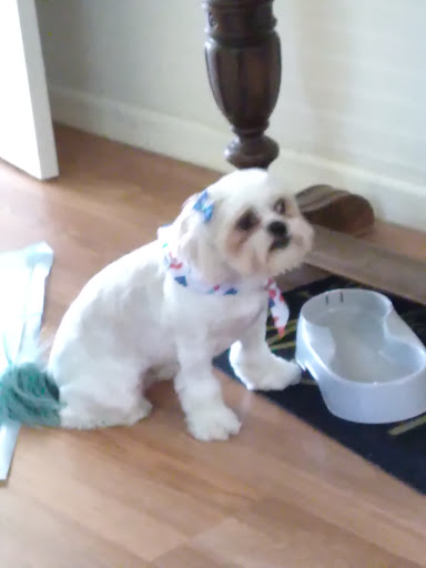 Pet Supply Store «PetSmart», reviews and photos, 10164 Colerain Ave, Cincinnati, OH 45251, USA