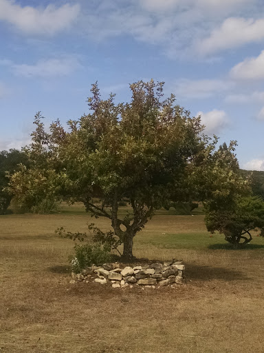 Golf Course «Oak Valley Golf Course», reviews and photos, 18632 Bandera Rd, Helotes, TX 78023, USA