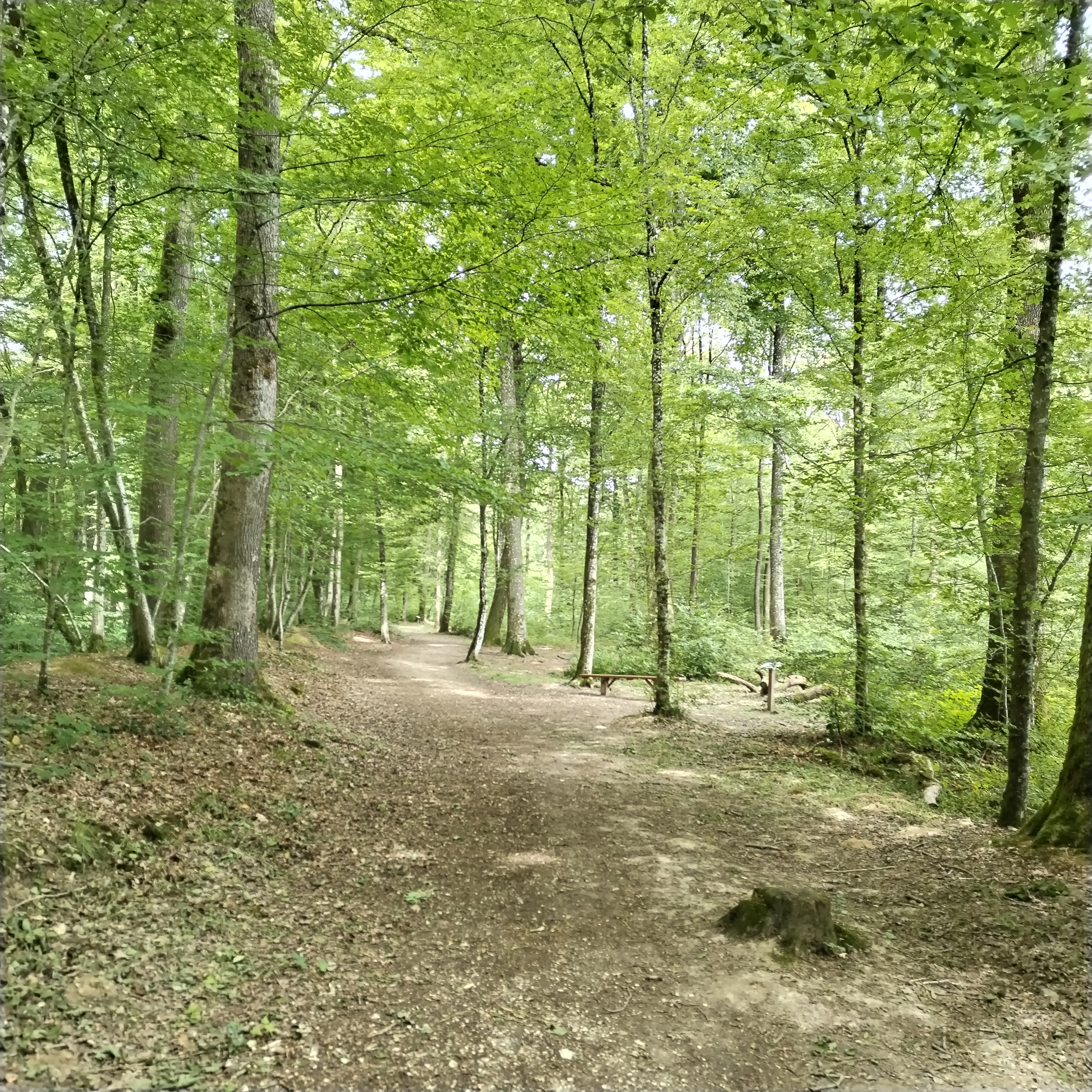 Photo n° 5 de l'avis de Maurice.O fait le 22/06/2022 à 15:49