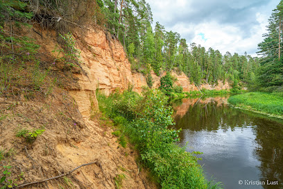 Neļķu klintis