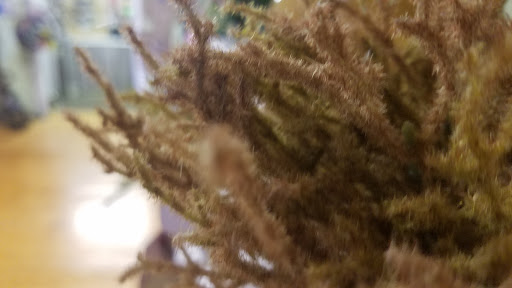 Florist «Exotic Florist & Gifts», reviews and photos, 1909 S Main St, Madisonville, KY 42431, USA