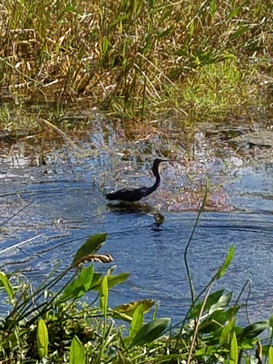 Insurance Agency «GEICO Corporate Office», reviews and photos